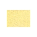 Zamjenska spužva za ZD-912, 60x50 mm