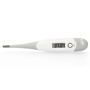 Digitalni toplomjer ALECTO BC-19GS, sivi