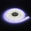 LED traka RGB, 60x5050 LED/m, samoljepiva, IP65, 1 metar