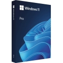 MICROSOFT Windows 11 Professional, 64-bit, Engleski, USB, Retail, HAV-00163
