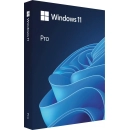 MICROSOFT Windows 11 Professional 64-bit Cro USB Retail, HAV-00141