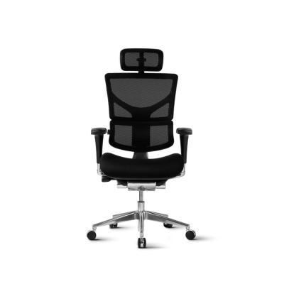 Gaming / uredska stolica ERGOVISION Smart Plus 02, 170 do 195cm, do 150kg, crna   - Gaming stolice