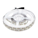 LED traka BIJELA, 120x3528 LED/m, samoljepiva,  IP20, neutralna bijela, 1 metar