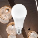 Žarulja LED Braytron 13W 6500K 1350lm E27 A65 IP20 BA13-01323