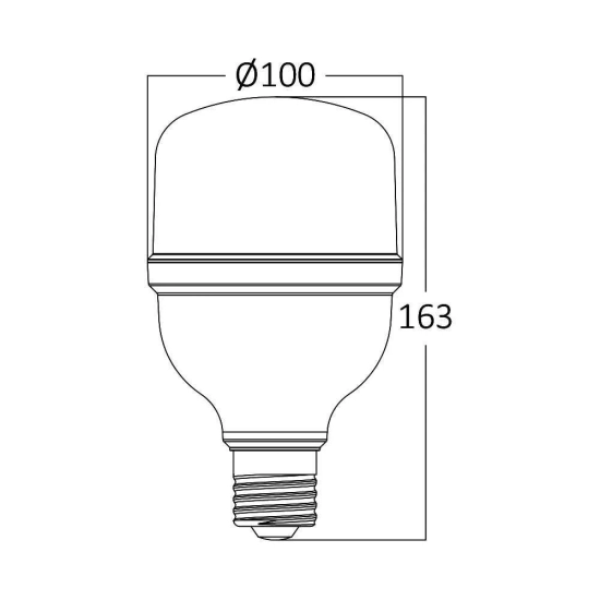 Žarulja LED Braytron 28W 6500K E27 T100 IP20