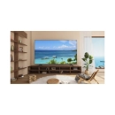 Televizor QLED 55incha TCL 55P8K, QLED, Google TV, 4K UHD, DVB-T2/C/S2, HDMI, Wi-Fi, Bluetooth, energetski razred F