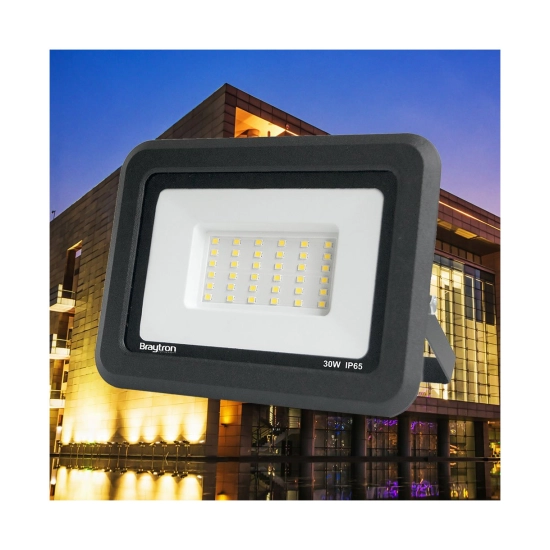 Reflektor LED Braytron 30W 6500K 2550lm IP65 sivi