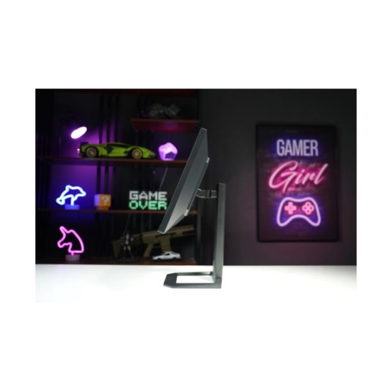 Monitor 24.5incha TITAN ARMY P2510H-PRO, FHD, IPS, 320Hz, 1ms, 350cd/m2, USB C, 2x USB A, crni