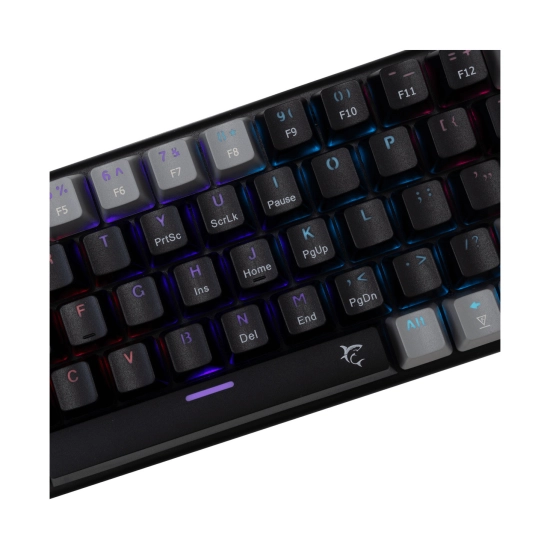 Tipkovnica WHITE SHARK Gaming GK-002111V2 WAKIZASHI-2, žičana, USB C, mehanička, Crveni Switch, US Layout, crno siva Tipkovnica WHITE SHARK Gaming GK-002111V2 WAKIZASHI-2, žičana, USB C, mehanička, Crveni Switch, US Layout, crno siva