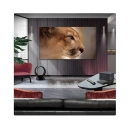 Televizor OLED 65incha LG OLED65M59LA.AEU, WebOS, 4K UHD, DVB-T2/C/S2, HDMI, WiFi, Bluetooth, USB A, Energetska oznaka G