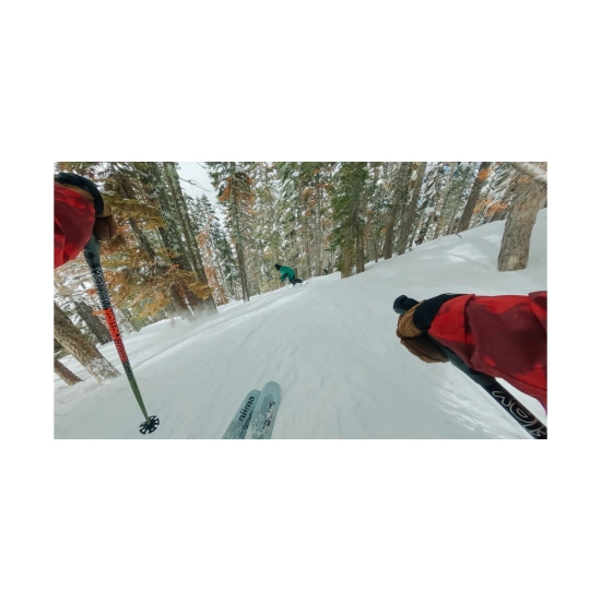 Remenje GOPRO Chesty, Performance Chest Mount, za GoPro kamere, AGCHM-001-VN