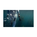 Nosač GOPRO The Handler 3.0, AFHGM-003-VN